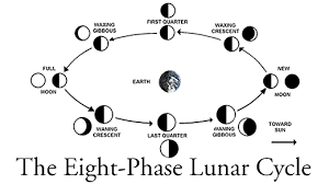 The Phases Of The Moon A Middle School Science Hands On
