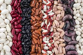 We did not find results for: Fagiolo Tu Sei Quello Che Mangi