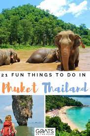 While the admission price is fairly high for thai standards, the show provides an evening's worth of. 21 Best Things To Do In Phuket Thailand Goats On The Road Phuket Travel Thailand Vacation Thailand Travel Inspiration