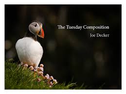 View pdf cbse class 3 english picture composition assignment. The Tuesday Composition Pdf Ebook Joe Decker
