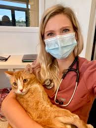 All vets charge more than for meds than you can buy them for online. Saint Peters Mo 63304 Veterinary Hospital Pet Health Center