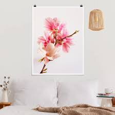 Du Suchst Gunstige Ideen Zu Wandgestaltung Mit Blumen Prints Das Blumen Poster Magnolienbluten In Rosa Ist Ein Beli In 2020 Blumenposter Blumen Wandbild Poster Blumen