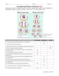 Maybe you would like to learn more about one of these? Comparing Mitosis Meiosis