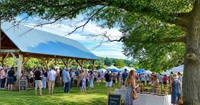 Art and Wine Fest at Ecco Adesso Vineyards