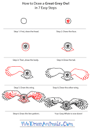 How To Draw A Great Grey Owl Coloring Pages Great Grey Owl Owl Coloring Pages Drawings