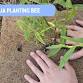Battle for the Banded Rail – Plants Community event image