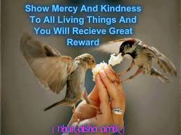 The prophet muhammad (peace and blessings be upon him) was very kind to children and loved them. Love Of Animals In Islam Voice Of World Muslim Facebook