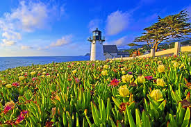 Maybe you would like to learn more about one of these? Visiting Half Moon Bay On Two Wheels Daily News