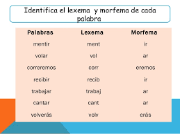 Resultado de imagen para lexema y morfema ejemplos