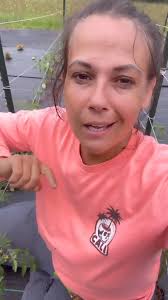 If you’re growing tomatoes plants, beware of the Hornworm!! This dinosaur  of a worm will eat your plants with no remorse! #hornworm #gardenpests  #growfoodnotlawns #growyourownfood #tomatoplants ...