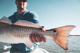 Galveston Tx Luxury Fishing Charters Guided Group Fishing Trips Captain Experiences Fishing Charters Fish Inshore Fishing