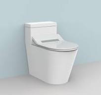 Custom spalet douche WC Japanese bidet seat,China spalet ...