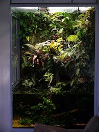 Thinking About Going Big Planted Aquarium Aquascape Aquarium Vivarium