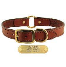 These brass name plates work in the numberall #40b stamping machine or our hand stamps. Leather Dog Collar With Name Plate Dog Collar With Name Leather Dog Collars Dog Collar