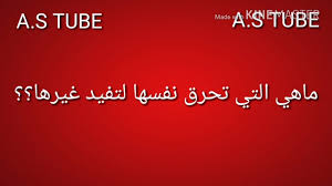 ماهي التي تحرق نفسها لتفيد غيرها Youtube