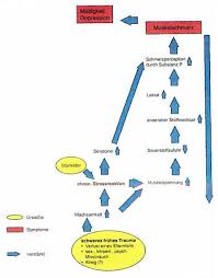 La fibromyalgie (fm) est une maladie qui affecterait le système nerveux central. Fibromyalgie