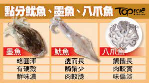 經常食海鮮的香港人 究竟識得分魷魚 squid 墨魚 cuttlefish 八爪魚