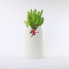 Where do i find the answer to this question? David Bowie Tribute Ziggy Starcat Planter White Cat Plant Etsy David Bowie David Bowie Tribute Cat Plants
