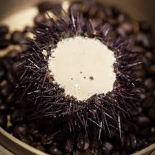 Recette D Oursins Au Cafe Recette Recette Oursin Repas Gourmand