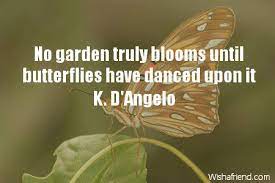 Maybe you would like to learn more about one of these? Butterfly Quotes