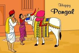 I wish that your pongal will be full of fun and joy. 2021 Mattu Pongal Date For Leander Texas United States