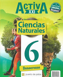 Sexto grado fue desarrollado por la direction general de materiales e lnformatita edutativa (dgmie), de la subsetretaria de education ba'sica, setretaria de education publica. Ciencias Sociales Naturales 6 Puerto De Palos Activa Xxi Bonaerense Binarea Novedad 2018 Por Activa Xxi 9789874416957 Casassa Y Lorenzo