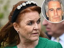 Ex-Geelong lawyer Peter Ansell breached court order, judge says