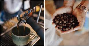 963/a, 11th main road, kodigehalli bangalore urban, tata nagar if you are looking for sourcing best quality coffee beans for your cafe or restaurant for making cappuccino. From French Press To Filter Coffee Here Are Bengaluru 8217 S Best Coffee Roasters