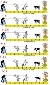 depth of field chart photography dof fotografielessen