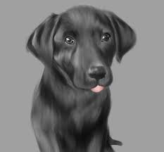 See more ideas about black lab puppies, lab puppies, puppies. Black Lab Pup Jayden Owens Digital Art Animals Birds Fish Dogs Puppies Labrador Retriever Black Lab Artpal