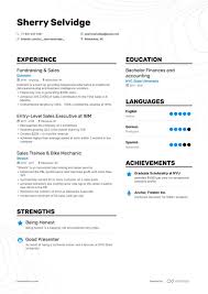 In particular, my strong sales record, negotiating abilities, and diligence will be a great addition to your sales team. Entry Level Sales Resume Examples Template 10 Writing Tips