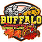 TCS Hockey Buffalo Thanksgiving Outdoor Classic  event image