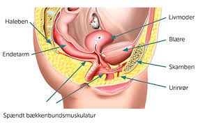 Alle opplever smerter fra tid til annen, men ved fibromyalgi har du smerter i store. Muskelspaendinger Klinik Monalisa