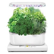 This kit comes with 6 gourmet herbs to start. Miracle Gro Aerogarden Harvest Weiss Smart Garden Krauter 365 Tage Im Jahr