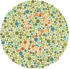Can you pass color blindness test? Ishihara Color Blindness Test The Ishihara Color Blindness Test