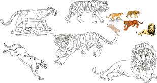 Cauti o plansa de colorat sau un desen de colorat cu animale elefanti? Poze Blog Imagini Cu Animale Salbatice De Desenat
