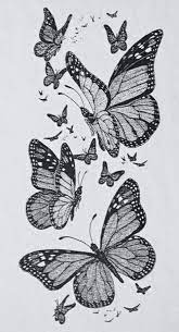 Butterfly Drawing Embroidery Tattoo Butterfly Drawing Butterfly Tattoos Images