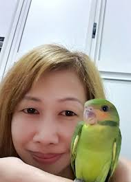 Thank you all for helping me find my bird, especially frances Chong