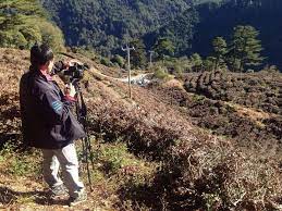 Taiwan Is Destroying Its High Mountain Oolong Tea Farms Tea Farm Oolong Tea Oolong