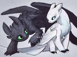 Hiccup Haddock Some Cute Night Fury Light Fury Fanart Facebook Full credit for these goes to the artists. night fury light fury fanart