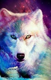 We did not find results for: Wolflove Wolves Wolf Artwork Cute Animal Drawings Wolf Spirit Animal