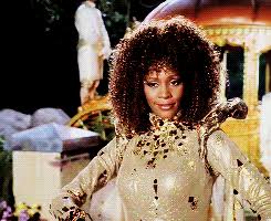 Prices up to 70% off on new or used disney items Costume Lovers Fairy Godmother Whitney Houston Rogers