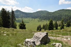 Park prirode biokovo park prirode kopački rit park prirode lonjsko polje park prirode medvednica park prirode papuk park prirode učka park. Park