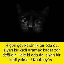 hicbir sey karanlik bir odada siyah bir kedi aramak kadar zor degildir hele odada siyah bir kedi yoksa konfucyus kedi hayvanlar okuma