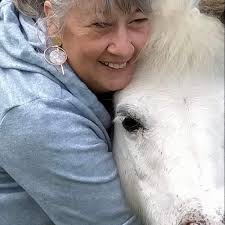 Little Lovedale Equestrian