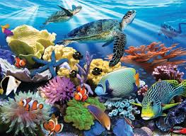 Finished size is 27 x 20. Ravensburger Ocean Turtles Jigsaw Puzzle Seriouspuzzles Com