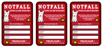 Check spelling or type a new query. Erste Hilfe Beim Hund Notfall Zettel