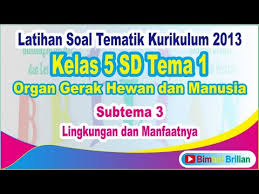 Perkumpulan petani pemakai air (p3a). Soal Tema 1 Kelas 5 Sd Subtema 3 Lingkungan Dan Manfaatnya Bimbel Brilian Youtube