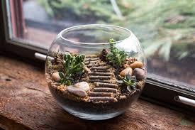 Diy Pflanzen In 2020 Terrarium Diy Pflanzen Terrarium