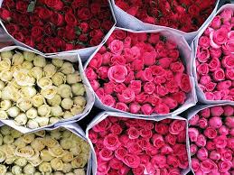 Check spelling or type a new query. I Want Lots Of Roses 3 Just Girly Things Girly Things Just Girl Things